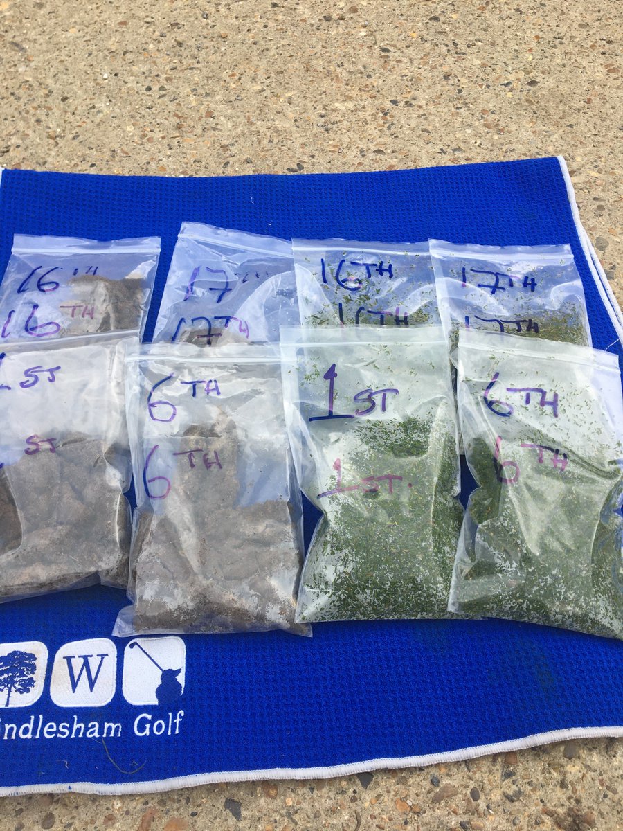 Course status is most definitely green at Windlesham this morning😄Great to see the course, Leigh &amp; the guys and golfers enjoying themselves. Collected the biannual leaf and soil samples. Results should be promising!