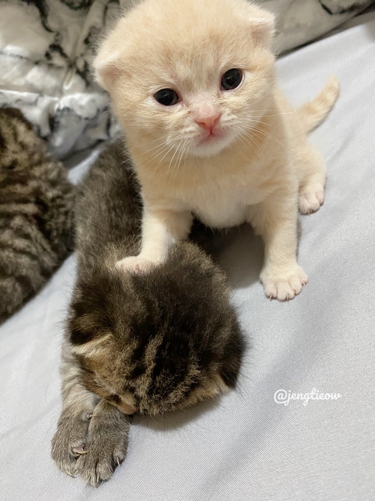 ไม่ว่าใครหน้าไหน ป๋มจะเหยียบให้จมติง