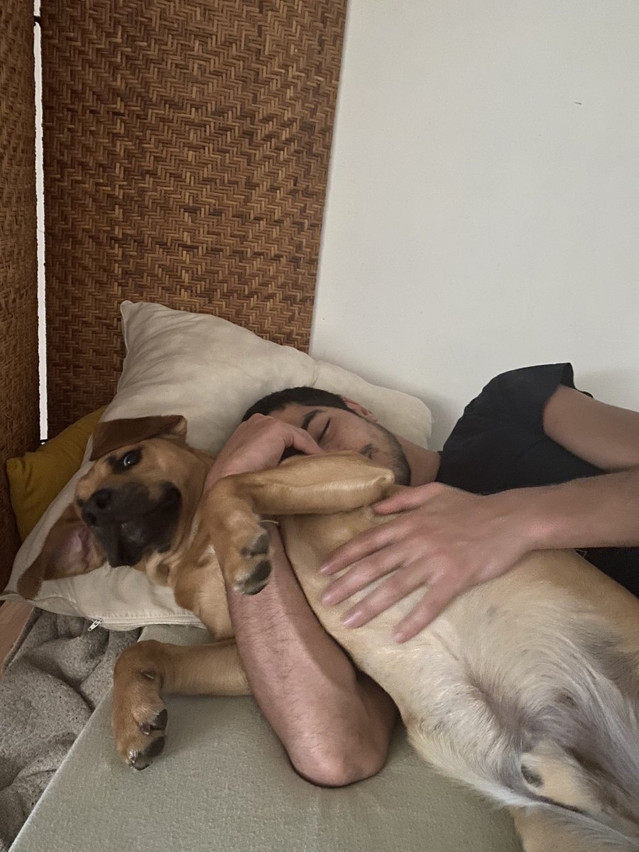 Samirlefakear's tweet photo. @DOFUSfr Moi et mon gros patapouf @DOFUSfr https://t.co/C4qUWagJ26