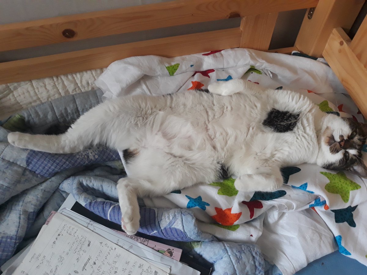 너 너무 편한거 아니니ㅋㅋㅋㅋㅋㅋㅋㅋㅋ부럽다....