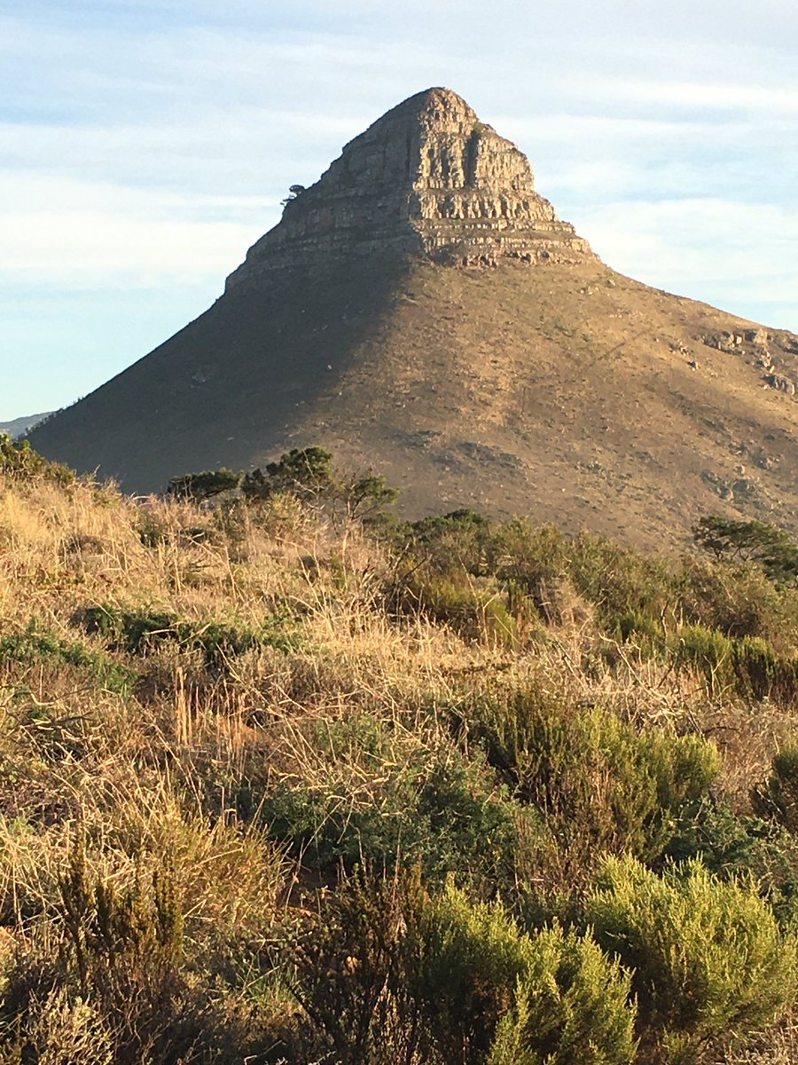 Martin Myers tweet media