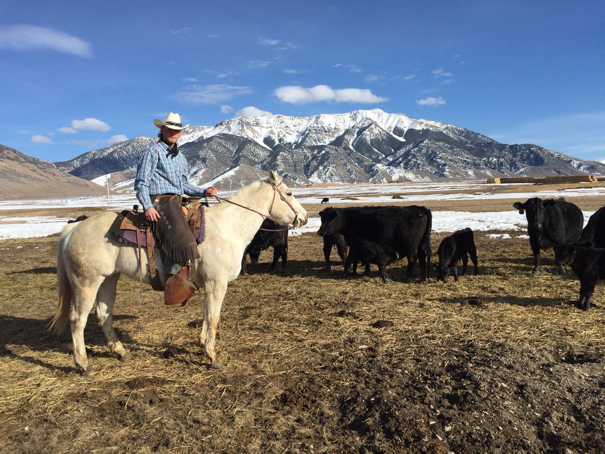 OnThePondShow's tweet photo. Ep. 10 features former @ramhockey player Cole Bjugson. (@Cole_Bjugson21 ) Very wild story and a career like no other.

-Roseau Rams
-BSU
-Juniors
-Walking away from the game
-Ranching
-UNO
-Walking away for good

#OTP #LetsRide 

https://t.co/qkKtTJrQCj

https://t.co/bPwJoxLhjl https://t.co/ta4gIQzSjC