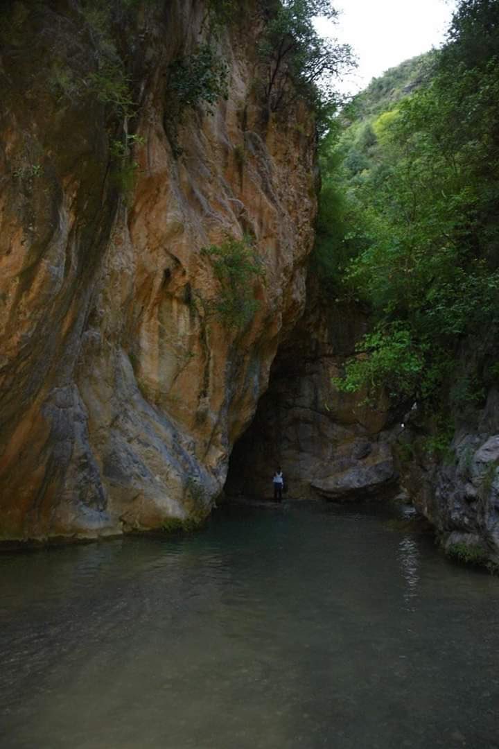 asaad_gul91's tweet photo. Noori Waterfall locally spoken as (نوریاں دی ٹھنڈ) is a hidden revine located in district Haripur of KPK.The place & its geology resembles with famous moola chotok falls of Balochistan hence we named this place moola chutuk of Haripur.
#BeautifulHazara
#BeautifulKPK https://t.co/hulaCsDaQU
