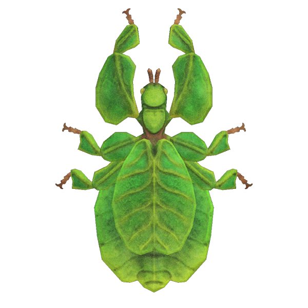 20. walking leaf funfact : sometimes it rocks back and forth to make it look even more like a leaf to confuse its predators