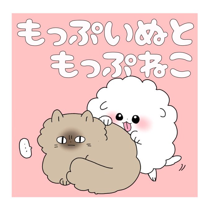 もっぷいぬともっぷねこ を含むマンガ一覧 古い順 ツイコミ 仮