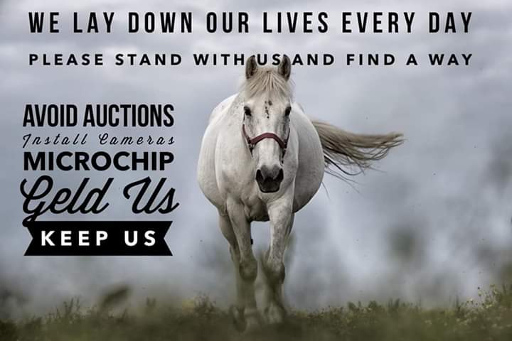 C White Ⓥ🇺🇲🇺🇦 tweet media