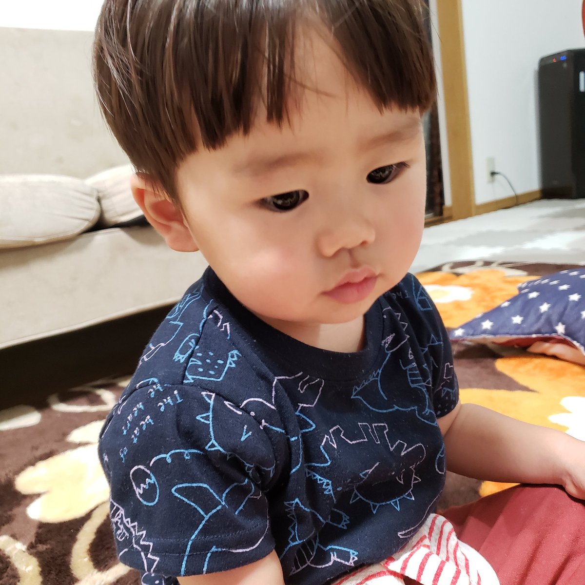 コボちゃんぱぱ 0jrhje9czfyklx0 Twitter