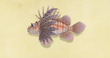 23. zebra turkeyfish...i cannot believe this is a real fish funfact: it is also referred to as the zebra lionfish...apparently its not scared of anything but i wouldn’t be too if i looked like that
