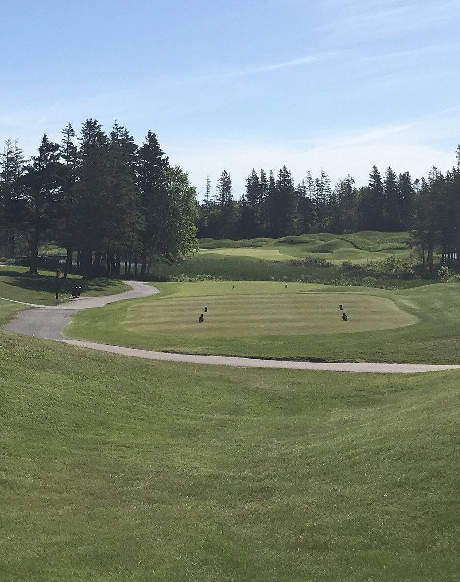 twhamilton's tweet photo. Looks like I should play golf today. Think I will! @PEIsFinestGolf @golfpei #Mavrik #Apex19 #Jaws #Toulon #ChromeSoft #guessIamaCallawayguy https://t.co/ka8zGVvCfd