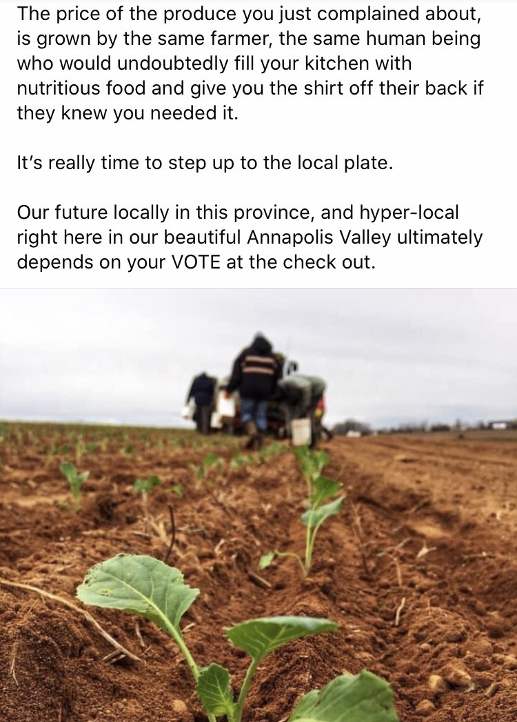 VHsweetpotatoes's tweet photo. A post from a fellow farmer and friend, Lise Rand of Randsland Farms this morning.  #CdnAg https://t.co/JB8oUbYLHu