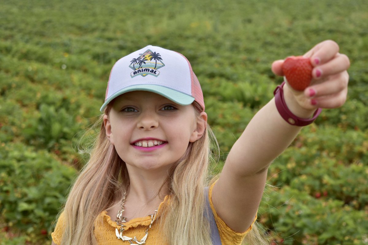 almost_mrs_k's tweet image. @CarltonMiniY4 a little bit of lockdown magic happed today and we went to participate in the real world, with friends!! School is being done but we are taking the relaxed approach and it works. #wholovesstrawbs #wedo #lockdownmagic #mummygotthegoodcameraout