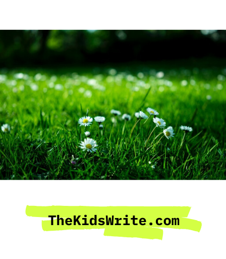thekidswrite's tweet photo. "On the bright side, I have a big backyard" - Elise (13), Ontario
https://t.co/UuvS3hrm8P https://t.co/ijQ53LGPRI