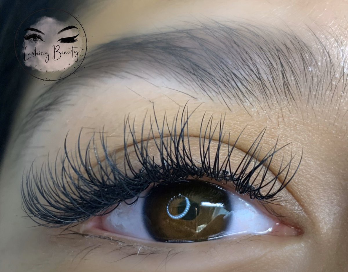 lash tip Tuesday: brush lashes daily 🖤 ✨style: classic 
#lashingbeauty_ #lashesbyyarelly #houstonlashes #pearlandlashes #lashes #eyelashextension #exploremore #classics #natural #followｍe #supportsmallbusiness #lash #lashsupply #lashwholesale #smallbuisness #lashtech