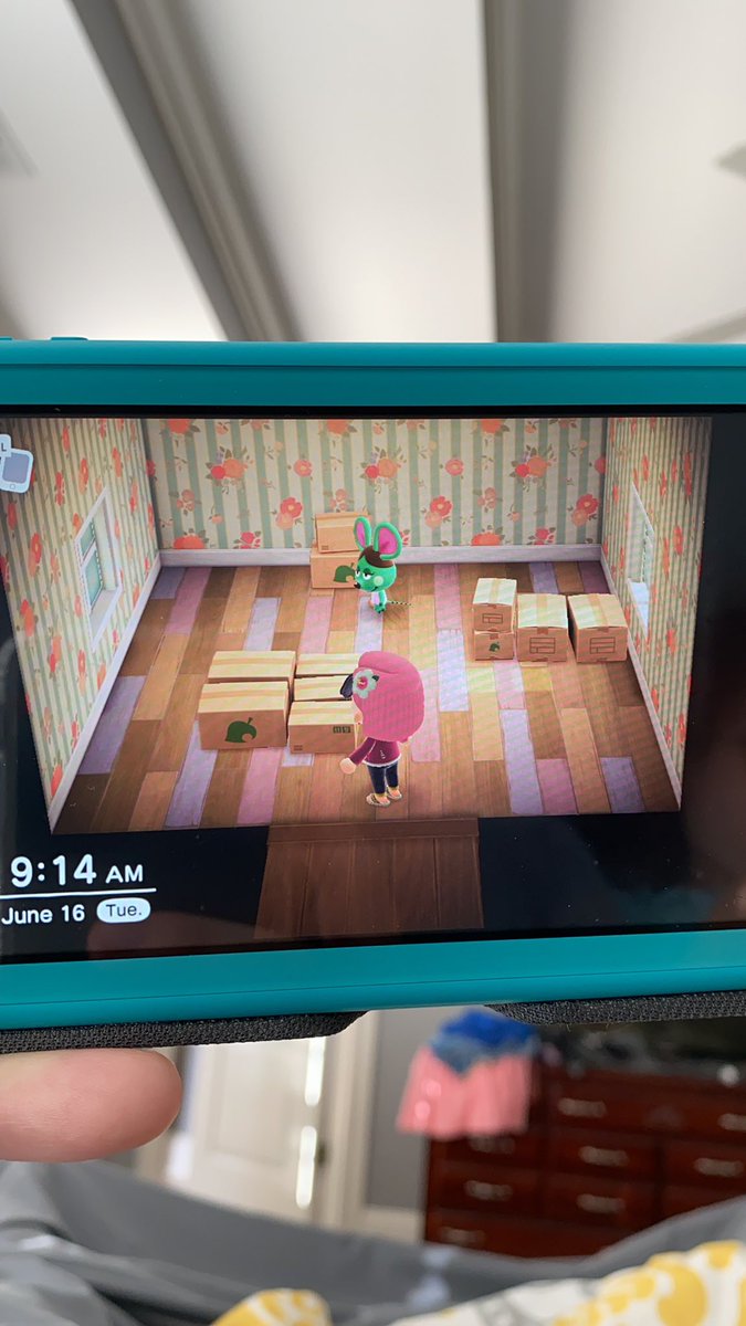 TeamACNH's tweet image. I have Anicotti in boxes if anyone is interested! She’s cute and very sweet. PM me before tonight. #acnh #AnimalCrossingNewHorizons #acnhvillagertrade #villagertrade