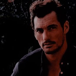 schouetta's tweet photo. ⠀ ⠀ 
⠀ 
         𝐓𝐇𝐄 𝐈𝐍𝐒𝐓𝐑𝐔𝐌𝐄𝐍𝐓𝐒
         𝐎𝐅 𝐒𝐈𝐋𝐕𝐈𝐀: PROLOGUE
         ━━━━━━━━━━━━━
         July 17th, 2001. At any time,
         and I am not your fault.
⠀ 
⠀ https://t.co/jqxMt5bZnN
