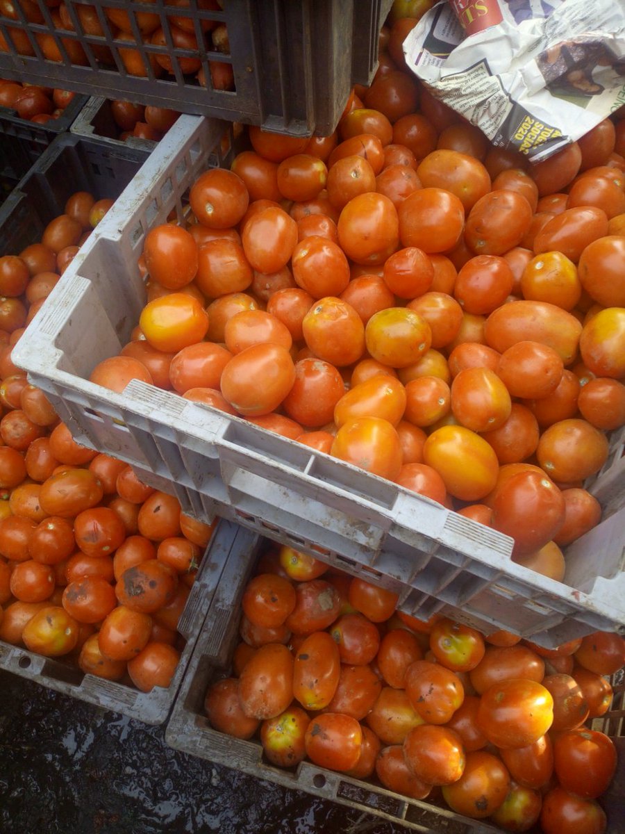 lizandbethfoods's tweet photo. Hello, we have begun taking orders for this week.
Kindly send shopping list.
Pepper bag 2500
Snail 5000
Cow portion 12000
Yam 70,000 (100 tubers)
Bucket of crayfish 4200
Bag of rice 25k upward
Garri 6k per bag
If you see this tweet, please retweet. #lagosfoodsharing #cowsharing https://t.co/87Dl7eWByS