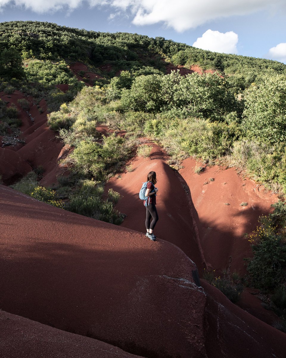 Quand on vous dit qu'en France il y a des pépites... ✨