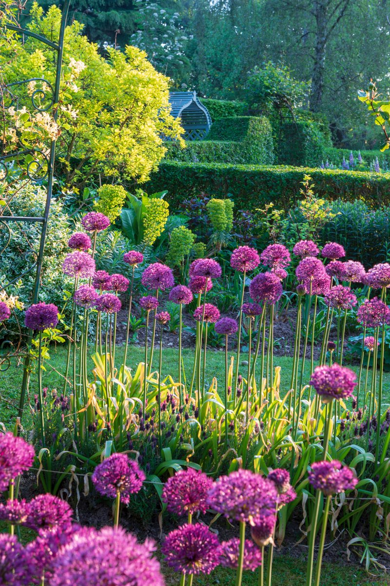 LEWISPLANTS's tweet photo. Visit #LewisPlants this Father's Day weekend 20th/21st June in aid of nursing charities.Entry £4.50 by PRE-PAID ticket ONLY. Booking via @NationalGardenScheme website,https://t.co/fbkjkiYvGA
Sorry, no cake 🍰! But do bring a picnic if you like! https://t.co/y5cxVTGDoH
