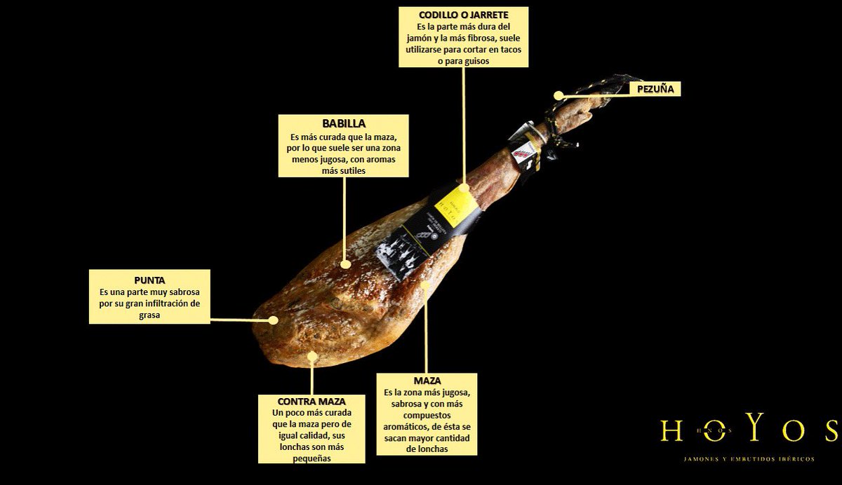 Porque una Imagen vale más que mil palabras... 🟢Partes de un Jamón. 
Entra en nuestro #blog en hermanoshoyos.es y te respondemos a las preguntas más frecuentes sobre jamones y embutidos #hermanoshoyos #somosfabricantes #ibericos #preguntas #respuestas #ibericosonline