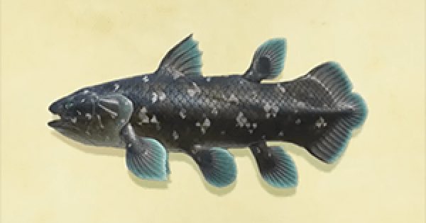 26. coelacanthfunfact : scientists once considered this fish to be a living fossil