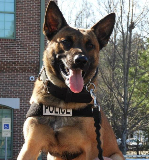 GlobalElecAssn's tweet photo. .@ViscomAG develops, manufactures, and sells high-quality inspection systems. They also support @PawsAlive, providing protective gear to K9 units in military, fire, search and rescue and law enforcement. #IPCCares #ElectronicsforaBetterWorld #BuildElectronicsBetter https://t.co/aeLimOdyBe