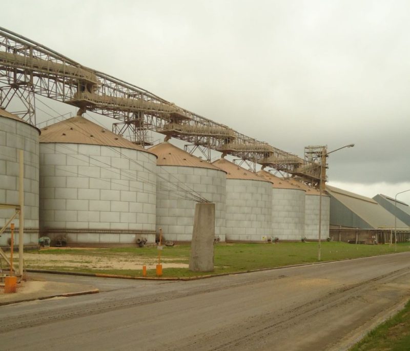 Agrolinkweb tweet media