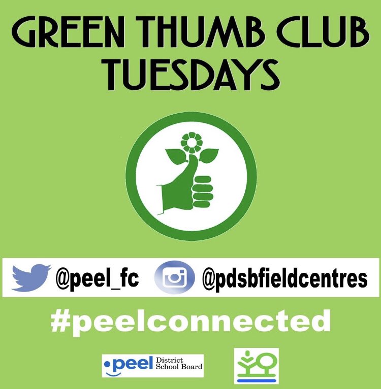 peel_fc's tweet photo. What is a weed? A type of #plant or a regular plant humans deem as a weed? @PeelSchools 👀 at the photos below, find examples &amp; share your answers #peelconnected #plantsrule #enviroed #learningnaturally #homeschooling #ontario #peelfam #peel21st https://t.co/jTf6IXS9hg