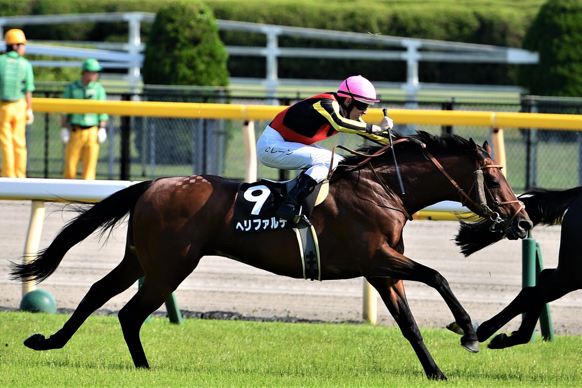 uma_umanusi's tweet photo. ヘリフォルテ

一口馬ではないけれど、POGうまぬしくんで所有。
復活してほしいなぁ。

#ヘリフォル　 #うまぬしくん #参加者募集中 https://t.co/L55L7U2he7