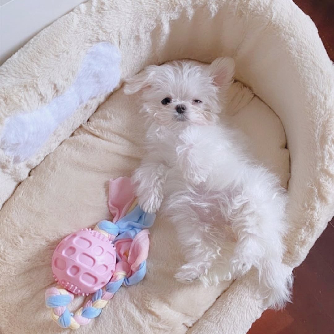 And of course, the youngest— Bibi Phunsawat Adulkittiporn   #offjumpol  #gunatthaphan  #winmetawin  #chimonwachirawit  #bibi