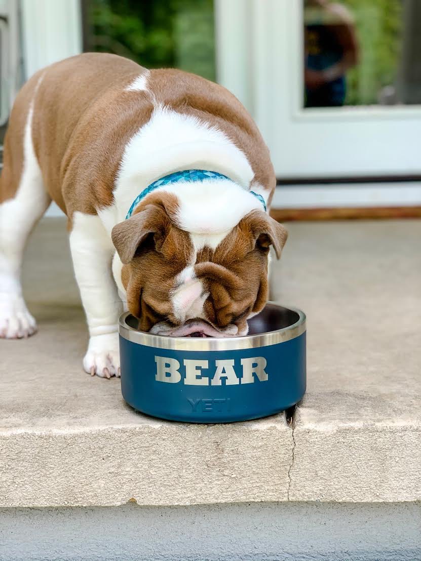 ImpressionEdge's tweet photo. Did you know that we offer YETI Dog Bowls customized with a 1 piece minimum?  🐶💦
Head to the link in our bio to take a look at all our YETI products! 
#yeti #impressionedge #dogbowls #promotionalproducts #builtforthewild https://t.co/wl3861ekE0