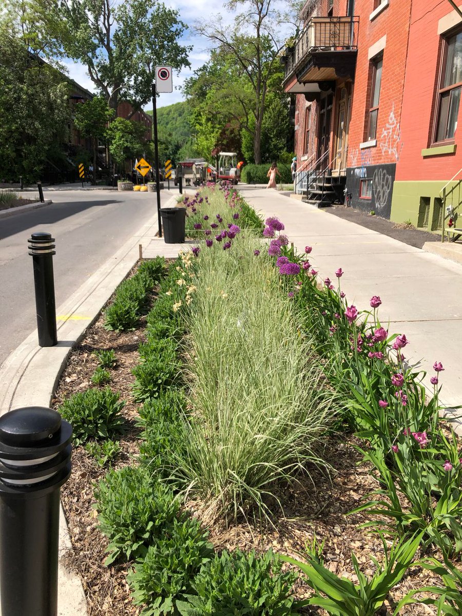 LePMR's tweet photo. La nature reprend sa place sur la rue Bagg! Les travaux sont terminés, la quiétude revient et la rue est nettement transformée et améliorée <3

#Verdissement #Bagg #LePlateau #Biodiversite #Environnement https://t.co/Ix8UmDDO6k