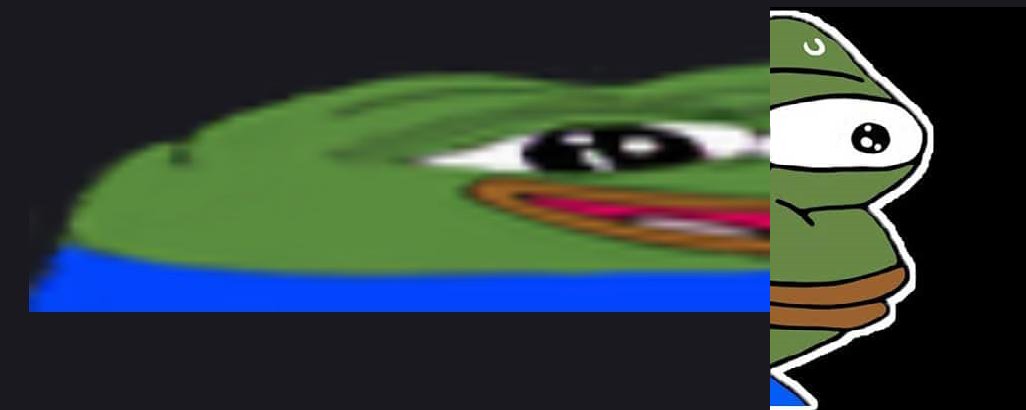 CuteDog_ tweet media