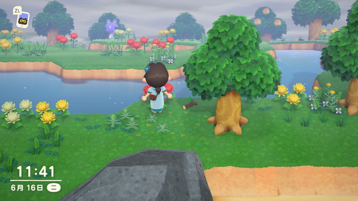 Belphe_Z's tweet photo. #动物森友会 #AnimalCrossing #ACNH #NintendoSwitch https://t.co/Sd7DXnbBFm