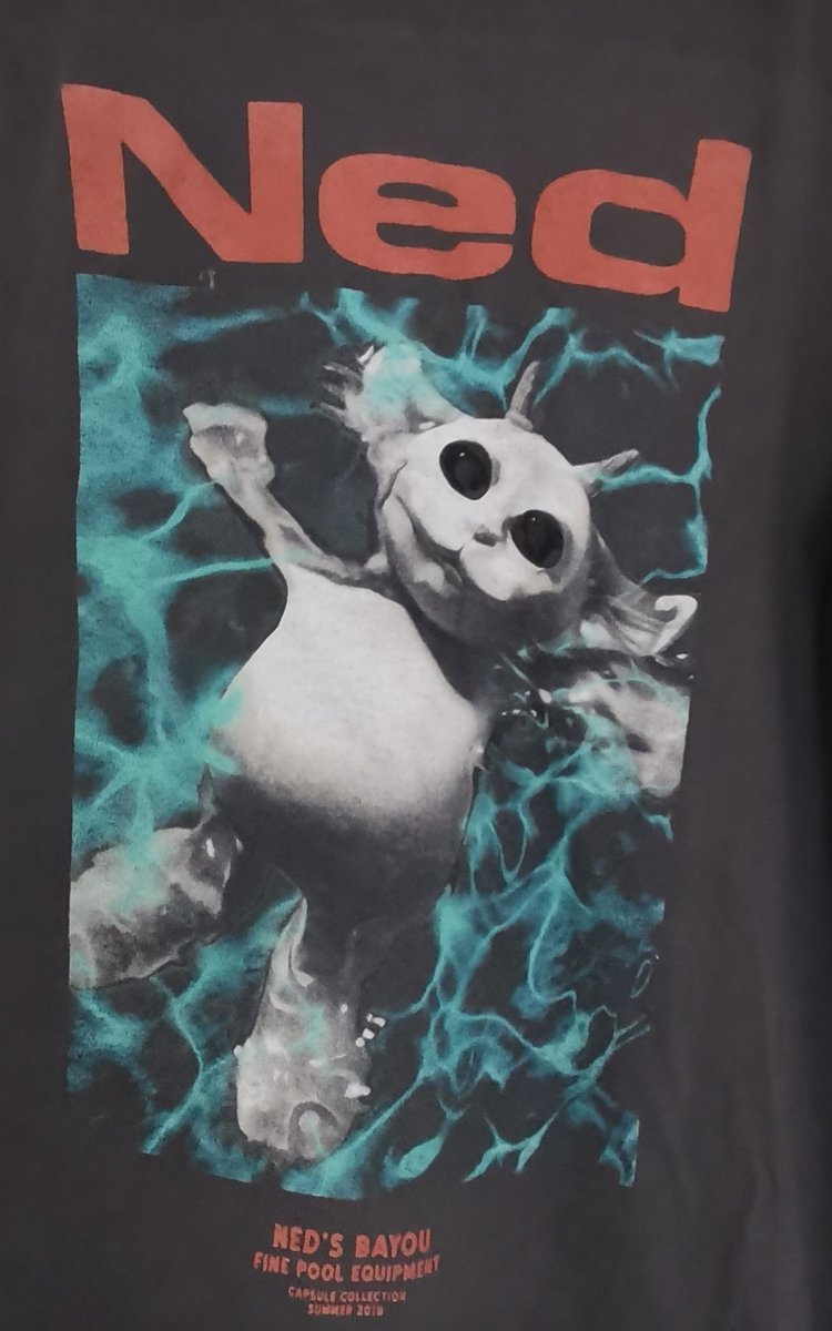 taxicab___'s tweet photo. 💛 giveaway time 💛

this is for a limited edition t-shirt from the pop-up ned's bayou store in ohio in large!

🌍worldwide giveaway🌍

to enter:
💛like &amp; rt this tweet
💛follow me @taxicab___

💛tag a friend for bonus entry - (optional)

🤩winner will be announced 1st July🤩 https://t.co/akbm13E4yM
