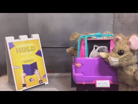 FreeForAllFilm's tweet image. We&apos;re loving this hilarious video about curbside pickup services from the @NowatNPL! Returns are book drop baby! 

#LibraryStrong #PublicLibraries #FreeforAll 
youtu.be/rnk4qeu9WZY