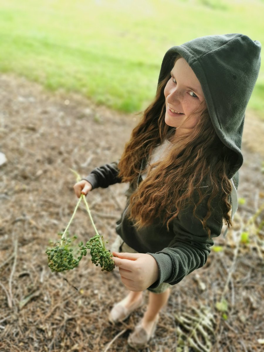 joann0208's tweet photo. @ChurchHillJS Caitlin Orton (Sandringham) on today's hunt for items to use in art, we also found a frog but it didn't want to be included. https://t.co/cbs1PdBIwR