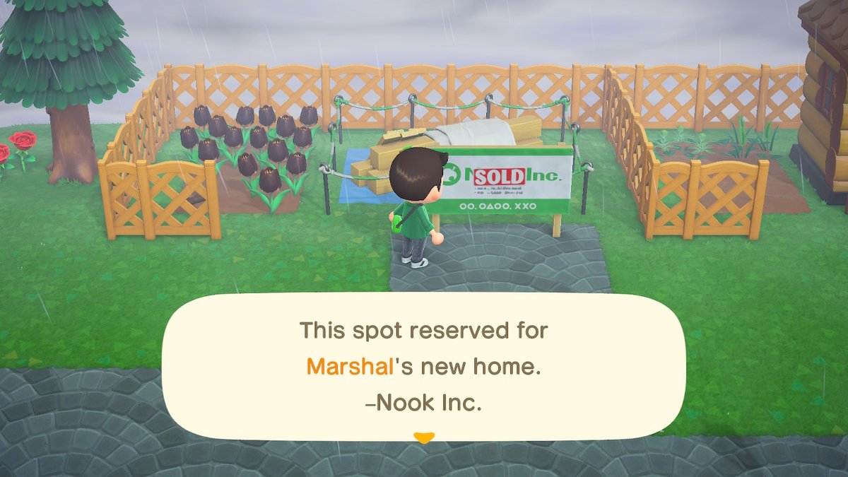 CWaffle817's tweet photo. #AnimalCrossing #ACNH #NintendoSwitch BEST LUCK EVER! https://t.co/fc3sOHlTXn