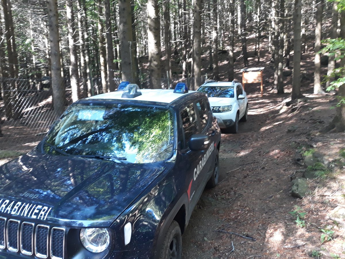 PARCO_AVETO's tweet photo. Straordinaria e fruttuosa mattinata di studi alla #RiservadelleAgoraie🏞 da parte dei ricercatori #cesbin per conto di #parcoaveto in collaborazione con #carabinieriforestali. Oggi monitoraggi📋🔍 flora e vegetazione🌿🌾🌳🌲 #RN2000 #ilparcocheriparte ✌💪 https://t.co/VXb0zWqjrQ