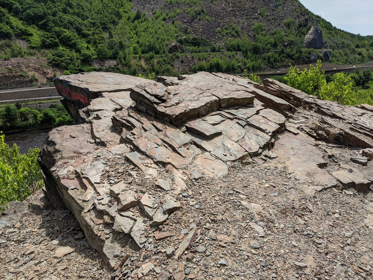 CharlieJG78's tweet photo. The LNE Trail at Lehigh Gap #lehighgap #Hike #outdoorphotography #getoutdoors #explore #lehighvalleypa https://t.co/6vp7vlIJmJ
