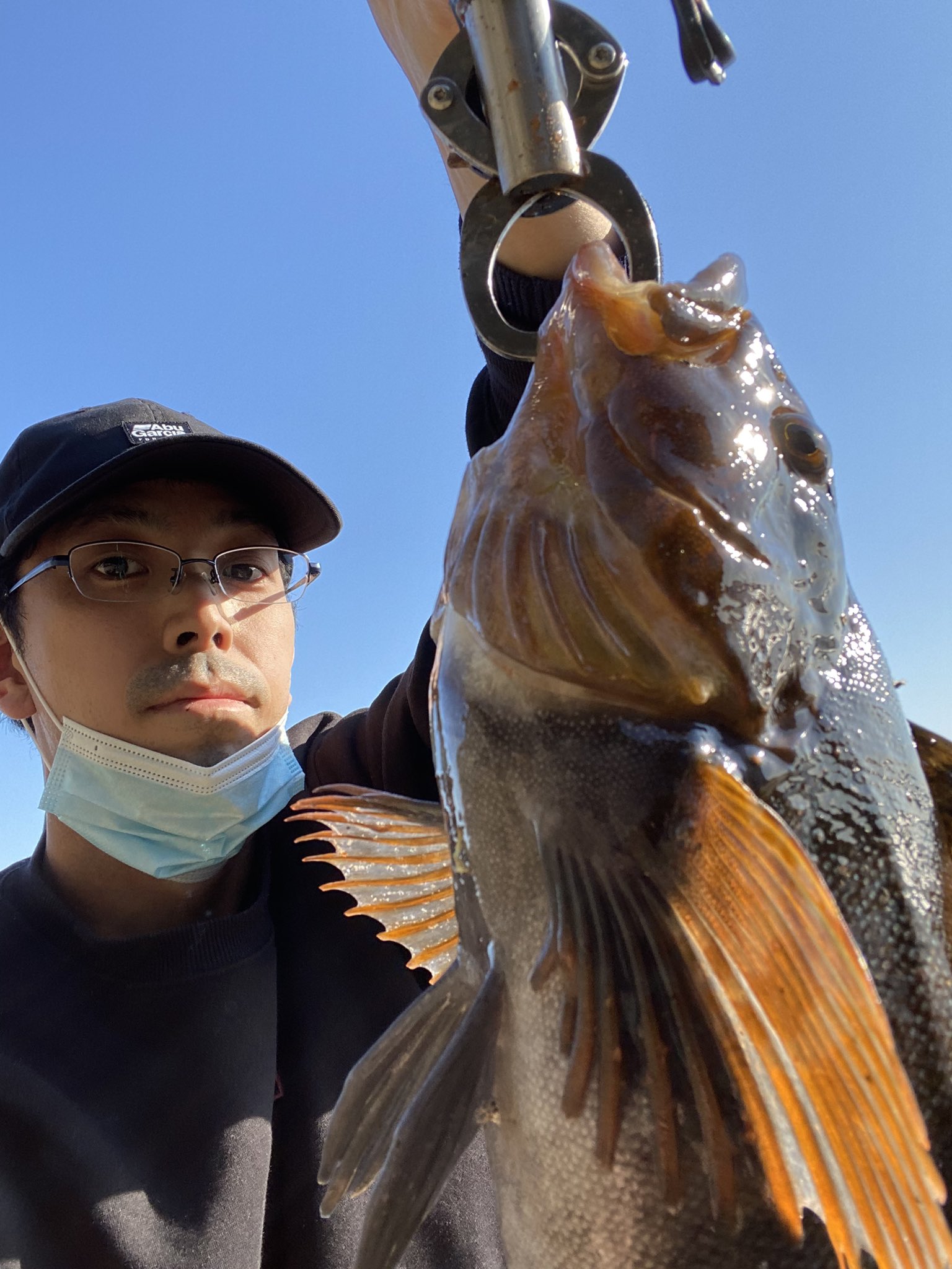 タクマモトオ どんなルアーで釣れたのかを記録していくシリーズ Cultivaのロックンベイトで自己最高46cmのアブラコ をゲット 300円で購入できる激安ワームだけどどこで使っても釣れる エゾメバルやソイもばっちり この日は水深の浅いところをスイミングで
