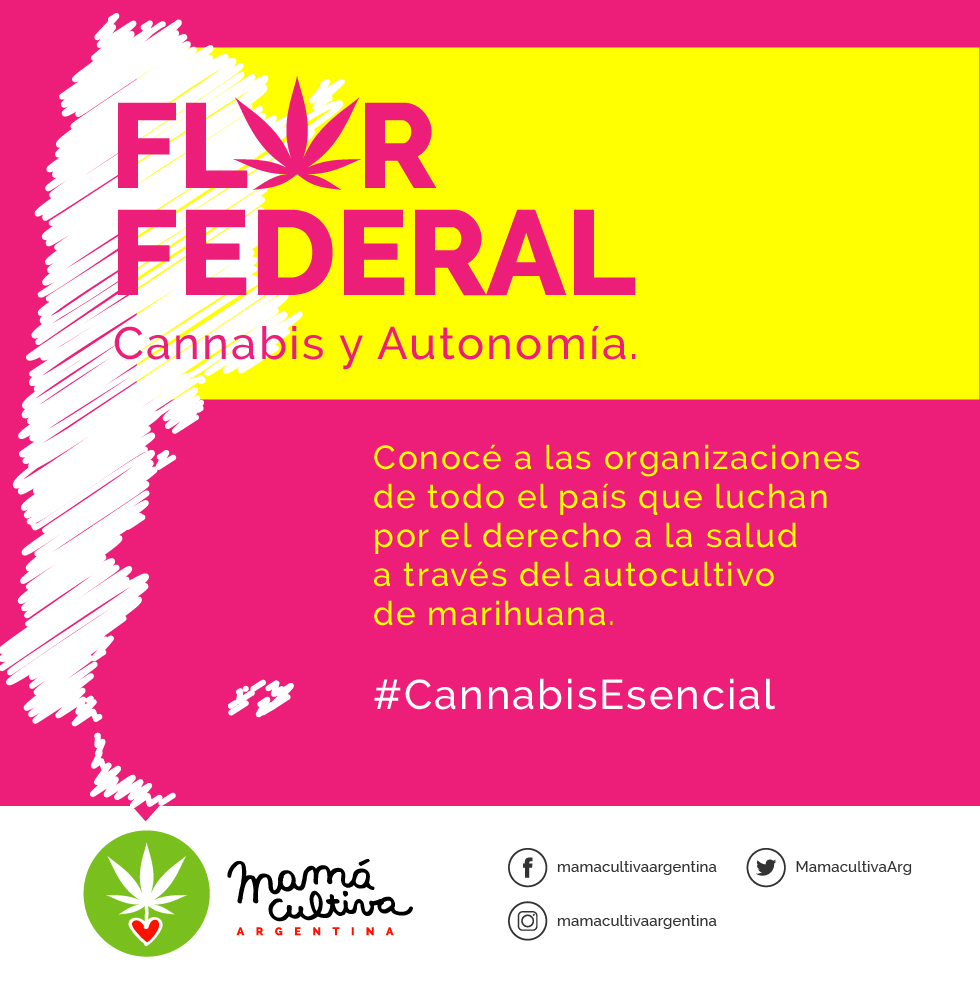 MamaCultivaArg's tweet photo. Ma��ana en FLOR FEDERAL, hablaremos con @macamesantafe sobre su lucha por el reconocimiento del autocultivo en la provincia de Santa Fe. 
No te lo pierdas!
#EnCuarentena #MiSaludMiDerecho 

https://t.co/V1KQLoU0yj https://t.co/k2PsIC0VWi