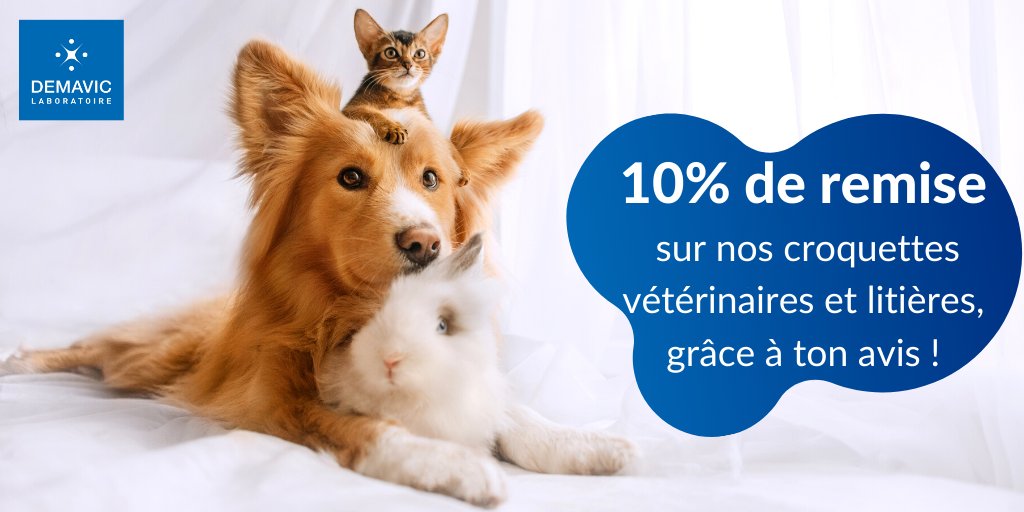 DEMAVICLab's tweet photo. 🎉Obtiens 10% de remise sur nos #croquettes #vétérinaires et #litières, grâce à ton avis !

Participes jusqu'au dimanche 21 juin inclus, via ce lien : https://t.co/iBUjO62m9d

Toute l’équipe DEMAVIC compte sur toi et est impatiente de découvrir ton avis !

#JeuConcours https://t.co/kk7C3OUl9F
