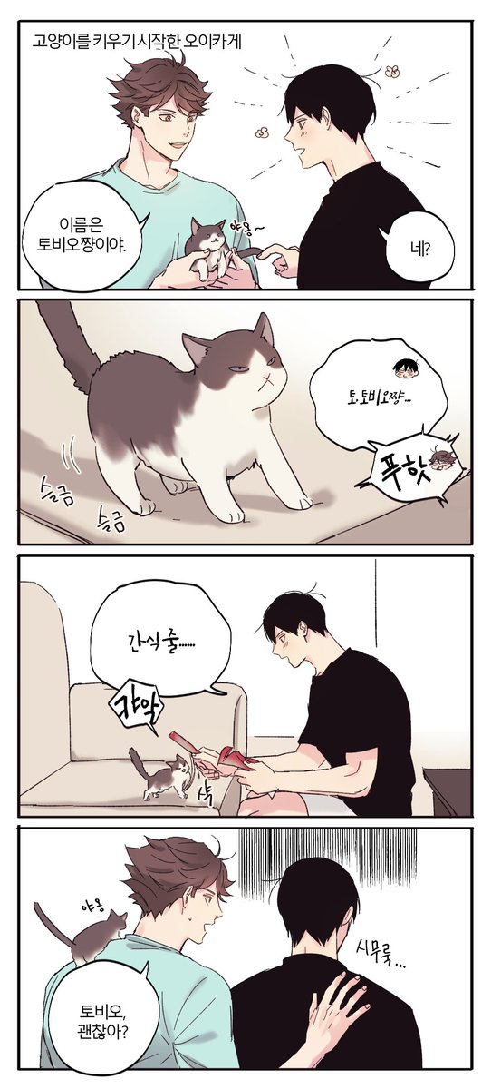 bunnylluv's tweet photo. 오이카게
리퀘박스 '오이카게가 고양이를 키우기 시작하는데 토오루를 잘따르는 고양이를 보고 토오루를 질투하는 토비오와, 자기보다 고양이에 더 관심을 줘서 고양이를 질투하는 토오루' <였습니다😘💕 https://t.co/lagGaJEWRW