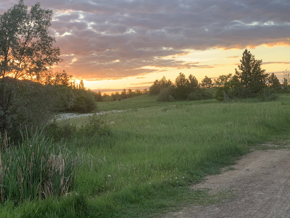 Denise13F's tweet photo. 7.5km
Park running gave up amazing views of a gorgeous sunset. #earthathon
#BDE started w a coffee date followed by an afternoon nap & a late evening #solorun. #PhotoModeMonday #PhotosOfMyLife #PhotoOfTheDay
#MindfulnessMonday
#MindfulnessActivity
#MentalHealth #LearningToCope https://t.co/TTvWI0Jz3G