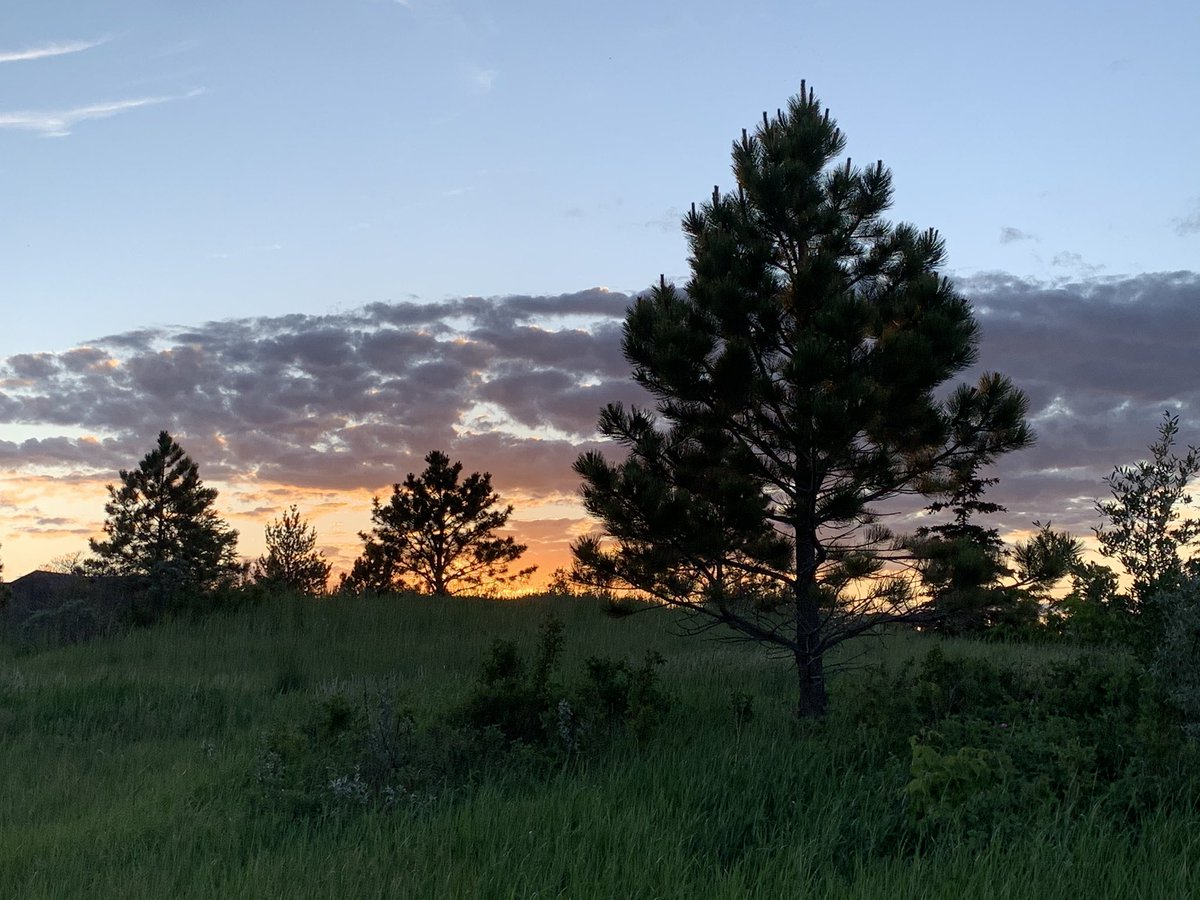 Denise13F's tweet photo. 7.5km
Park running gave up amazing views of a gorgeous sunset. #earthathon
#BDE started w a coffee date followed by an afternoon nap & a late evening #solorun. #PhotoModeMonday #PhotosOfMyLife #PhotoOfTheDay
#MindfulnessMonday
#MindfulnessActivity
#MentalHealth #LearningToCope https://t.co/TTvWI0Jz3G