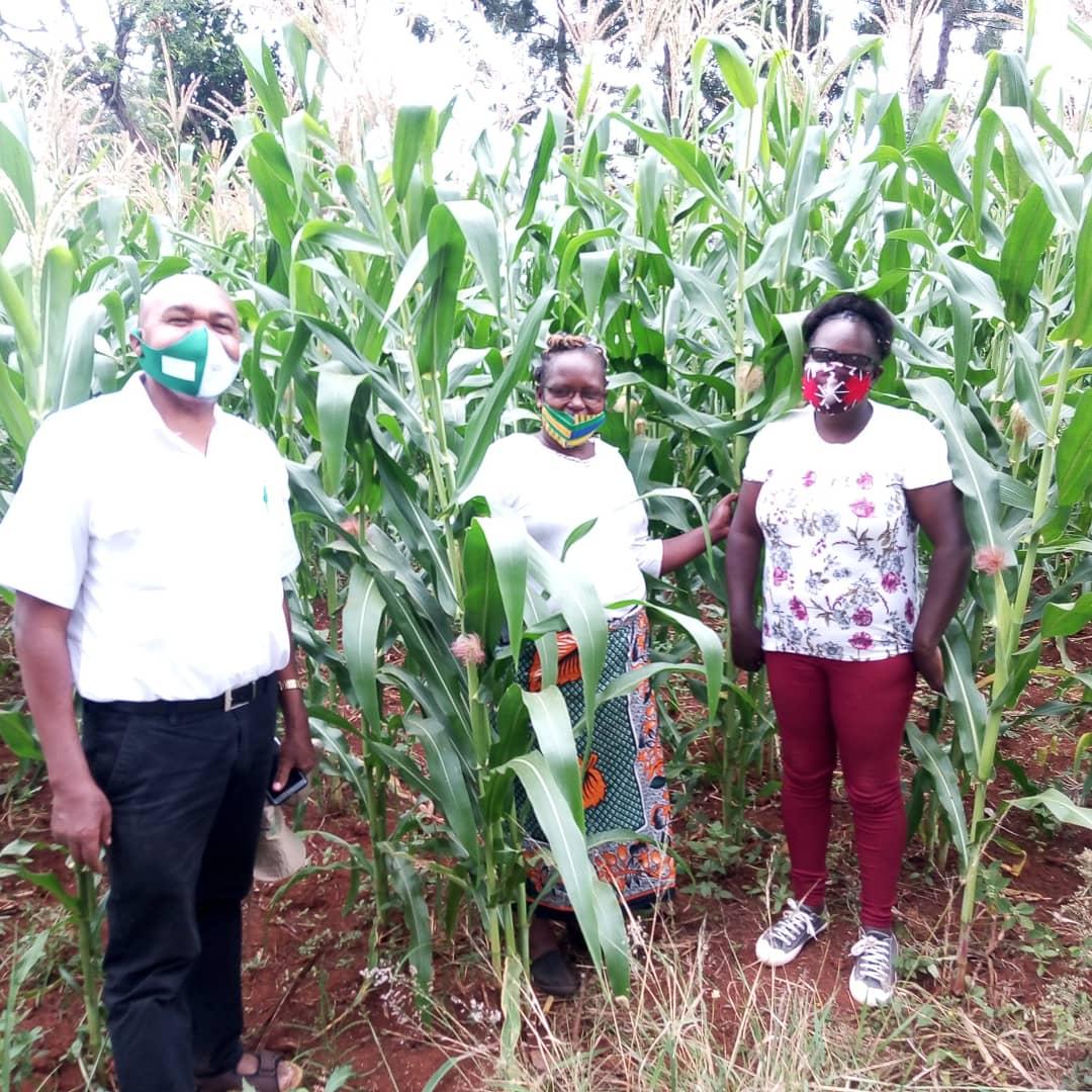 PealAgro's tweet photo. Embu County https://t.co/DjhTVn1SyZ