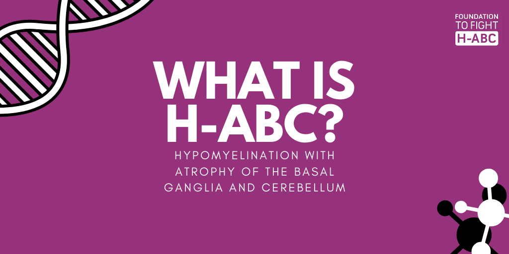 fighthabc's tweet photo. WHAT IS H-ABC?
Hypomyelination with Atrophy of the Basal Ganglia and Cerebellum )H-ABC) is a rare leukodystrophy. #Leukodystrophies are rare and progressive genetic diseases that affect the nerves, spinal cord, and brain.
Learn more: https://t.co/NYPkb4Ekb7
#FightHABC #HABC https://t.co/2HJOSHPzsc