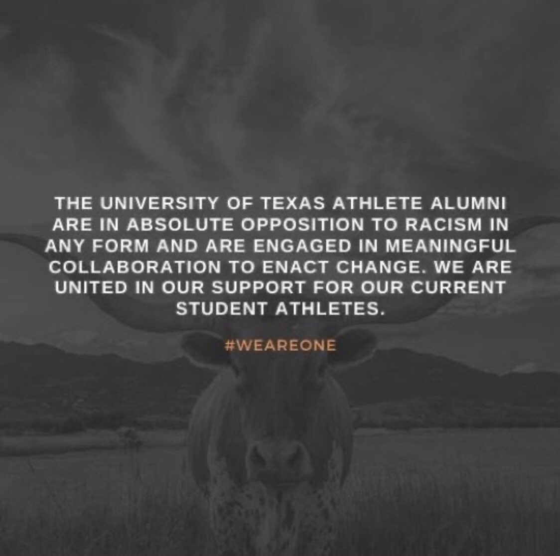 #ITooAmTexas #WeAreOne #UTXAA #BurntOut