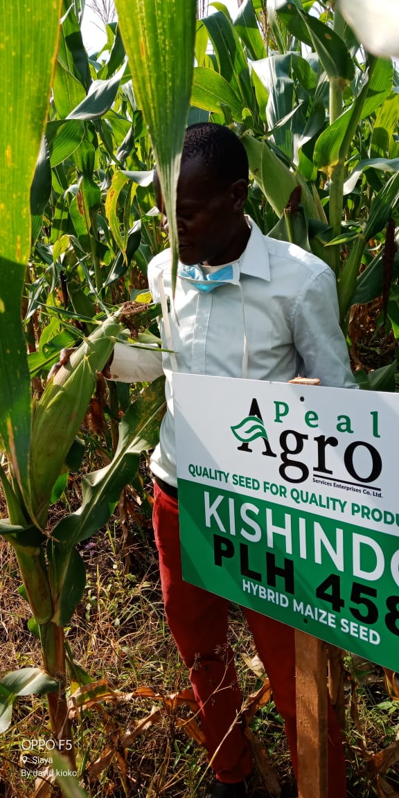 PealAgro's tweet photo. Siaya county demos https://t.co/4mWZk8K7i8