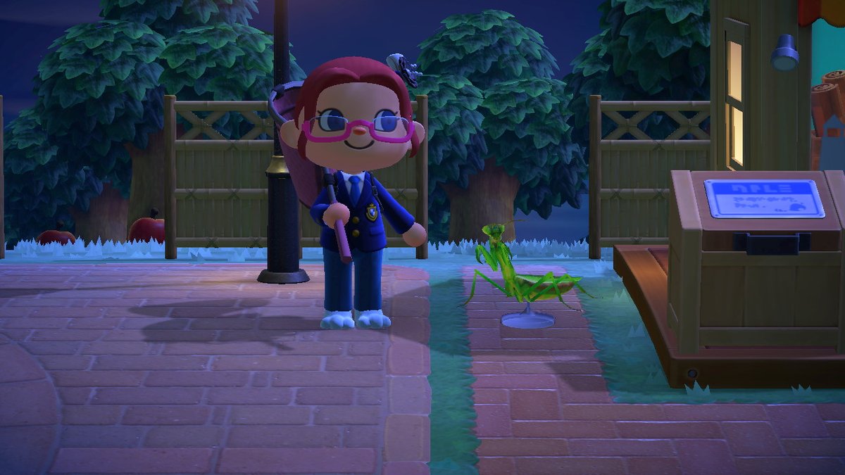 Nighty_fire's tweet photo. #AnimalCrossing #ACNH #NintendoSwitch https://t.co/sXjBZsIrHK